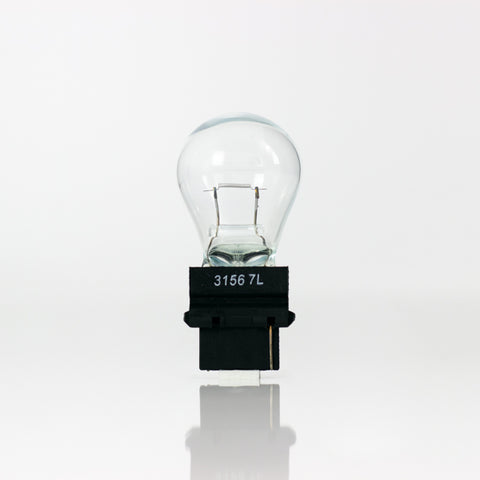 FOCO 3156 12V 1 POLO CLARO     SYLVANIA