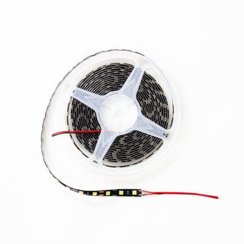 ROLLO LED 5050 SMD BLANCO FONDO NEGRO 5MT