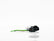 CONECTOR 4TERMINALES  BOBINA ENCENDIDO VW JETTA A4 PASSAT UF-277 UF-575     AJ     REF  S-1533 A1026-15
