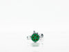 CONECTOR REMOLQUE MACHO 5 PUNTAS POLLAK