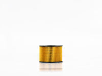 FILTRO ACEITE FORD TERRITORY 23-AA     GONHER     REF  G-2525 MS16744AA