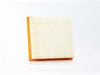 FILTRO AIRE FORD MUSTANG V6 V8 05-10     INTERFIL      REF CA-9895 FA-9895 46975