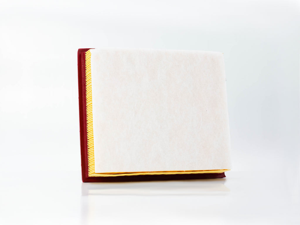 FILTRO AIRE TOYOTA SEQUOIA 5.7L 17-21 TUNDRA 13-21 TACOMA 3.5L 16-21     GONHER     REF CA-11895 GA-2352 17801-0P100 WA10085