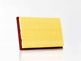 FILTRO AIRE JAC J7 21-24 SEI 4 22-24     GONHER     REF  1109130V5070 GA-2334