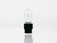 FOCO WT21W 12V 21W 1 POLO CLARO     PHILIPS