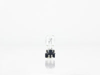 FOCO HALOGENO PWY24 12V 24W BLANCO     PHILIPS