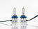 FOCO HYPER LED H8 H11 H16 12/24V     HELLA