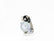 MARCHA MITSUBA HONDA ACCORD 95-07 ODYSSEY 99-06 PILOT 03-05 2.7L 3.0L 3.5L 9D 12V      WAI     REF  17728