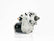 MARCHA SP NIPPONDENSO CATERPILLAR 3114 3116 3176 10D 24V     WAI     REF  17616