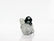 MARCHA NIPPONDENSO TOYOTA HILUX 17-21 DIESEL 10D 12V     VALUE     REF 31135 28100-0L180 438000-17090