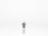 SOCKET FOCO MINI C/SOCKET TABLERO 24V     FLOSSER