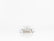 PLAFON LUZ INTERIOR CROMADO 12V     LOMBRA     588