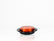 PLAFON  LED REDONDO ATORNILLABLE 2 1/2" BISEL NEGRO CON CABLES 3 LEDS AMBAR 12-24V     LOMBRA     432-A
