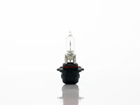 FOCO HALOGENO 9005 12V 100W     HELLA