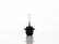 FOCO HALOGENO 9005 12V 65W     STAR