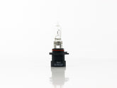 FOCO HALOGENO 9005 RECTO 12V 65W     HELLA
