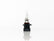 FOCO HALOGENO 9005 RECTO 12V 65W     HELLA