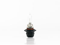 FOCO HALOGENO 9005 12V 65W     TOTAL