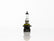 FOCO HALOGENO 9006 RECTO 12V 55W     SYLVANIA