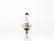 FOCO HALOGENO H4 9003 P36T 60/55W RENAULT BASE REDONDA CHICA     STAR