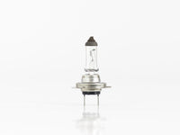 FOCO HALOGENO H7 24V 70W     HELLA