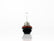 FOCO HALOGENO H9 12V 65W     STAR