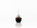 FOCO HALOGENO H9 12V 65W     OSRAM