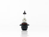 FOCO HALOGENO H10 12V 42W     HELLA