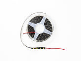 ROLLO LED 5050 SMD BLANCO FONDO NEGRO 5MT