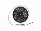 ROLLO LED 5050 SMD ROJO FONDO NEGRO 5MT